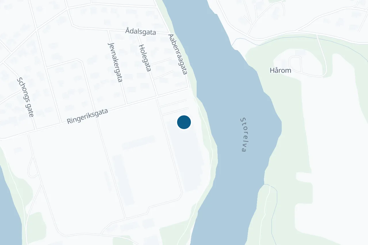 Kart over Ringerike med prøvestedet markert